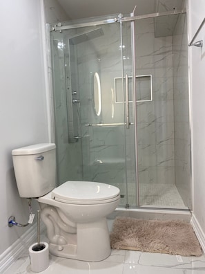Shower, towels, toilet paper