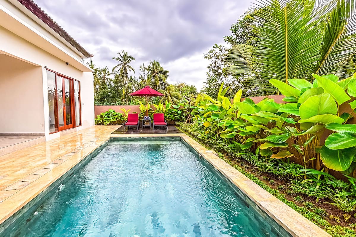 A swimming pool with two red chairs and a table on the left, surrounded by lush greenery.