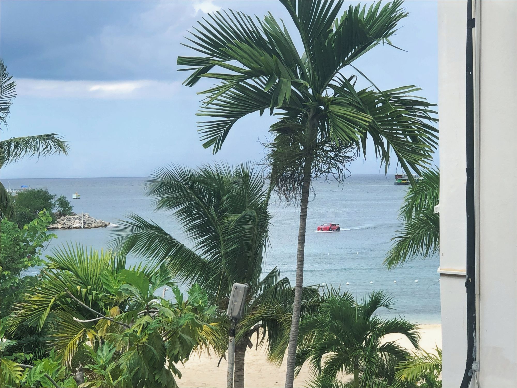 A beach view with palm trees and a boat on the water.