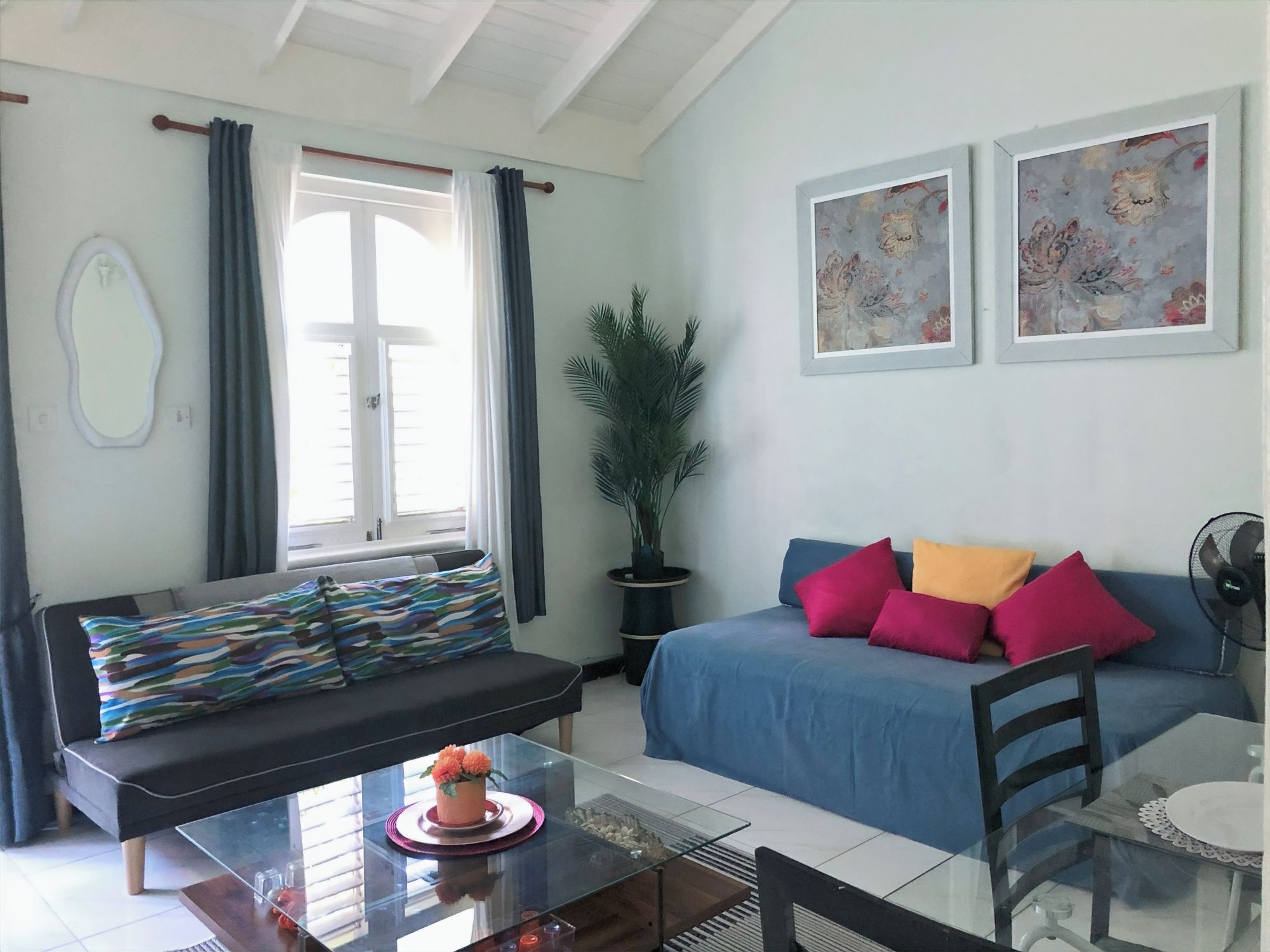 A living room with a sofa, a dining table, and a potted plant.