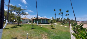 Uma casa com telhado verde, cercada por um gramado bem cuidado e várias palmeiras.