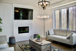 Smart TV, fireplace, books