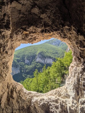 Una abertura natural en una cueva con vista a un valle boscoso.