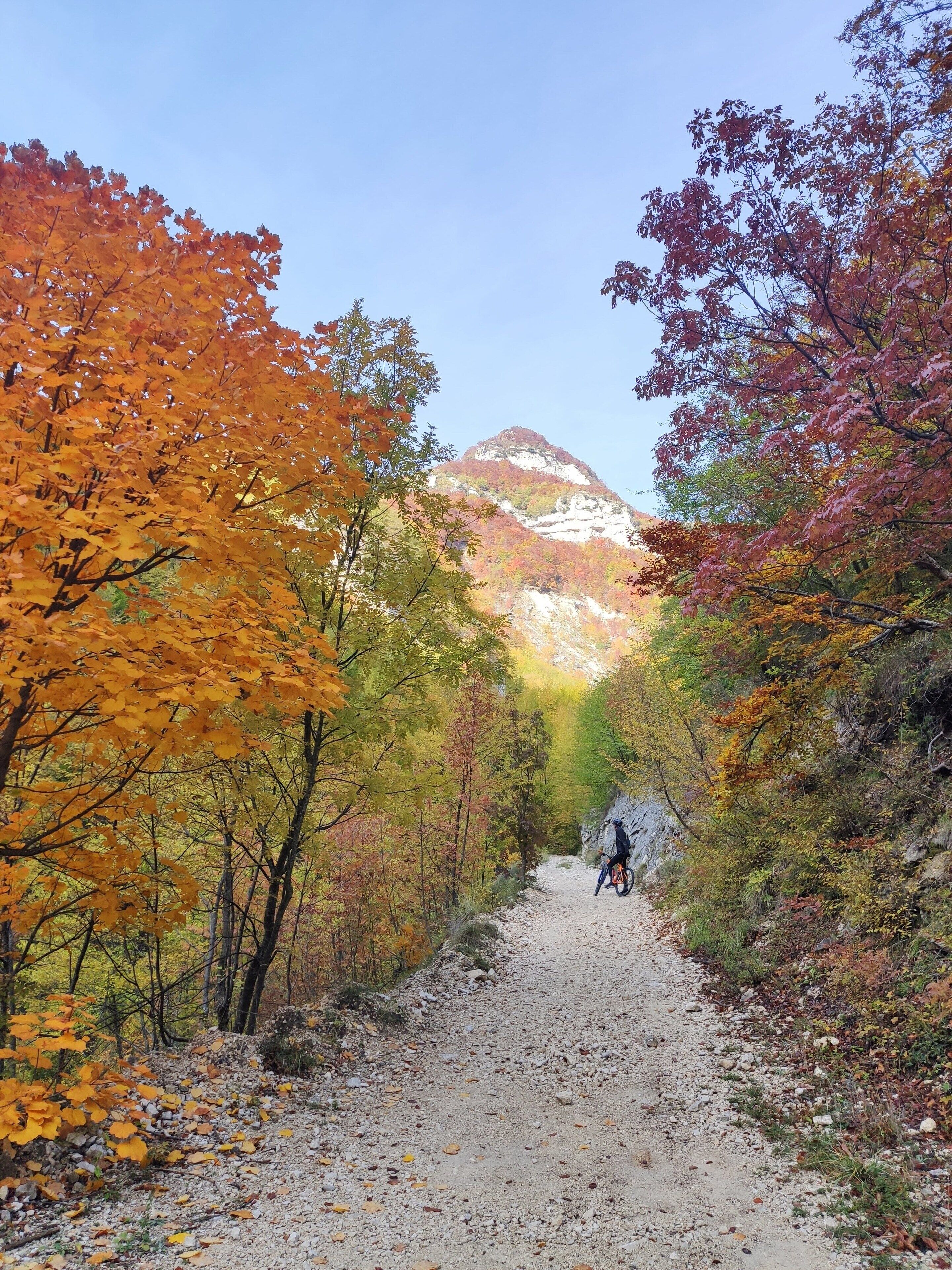 Un sendero de grava flanqueado por árboles de colores otoñales que conduce a una montaña.