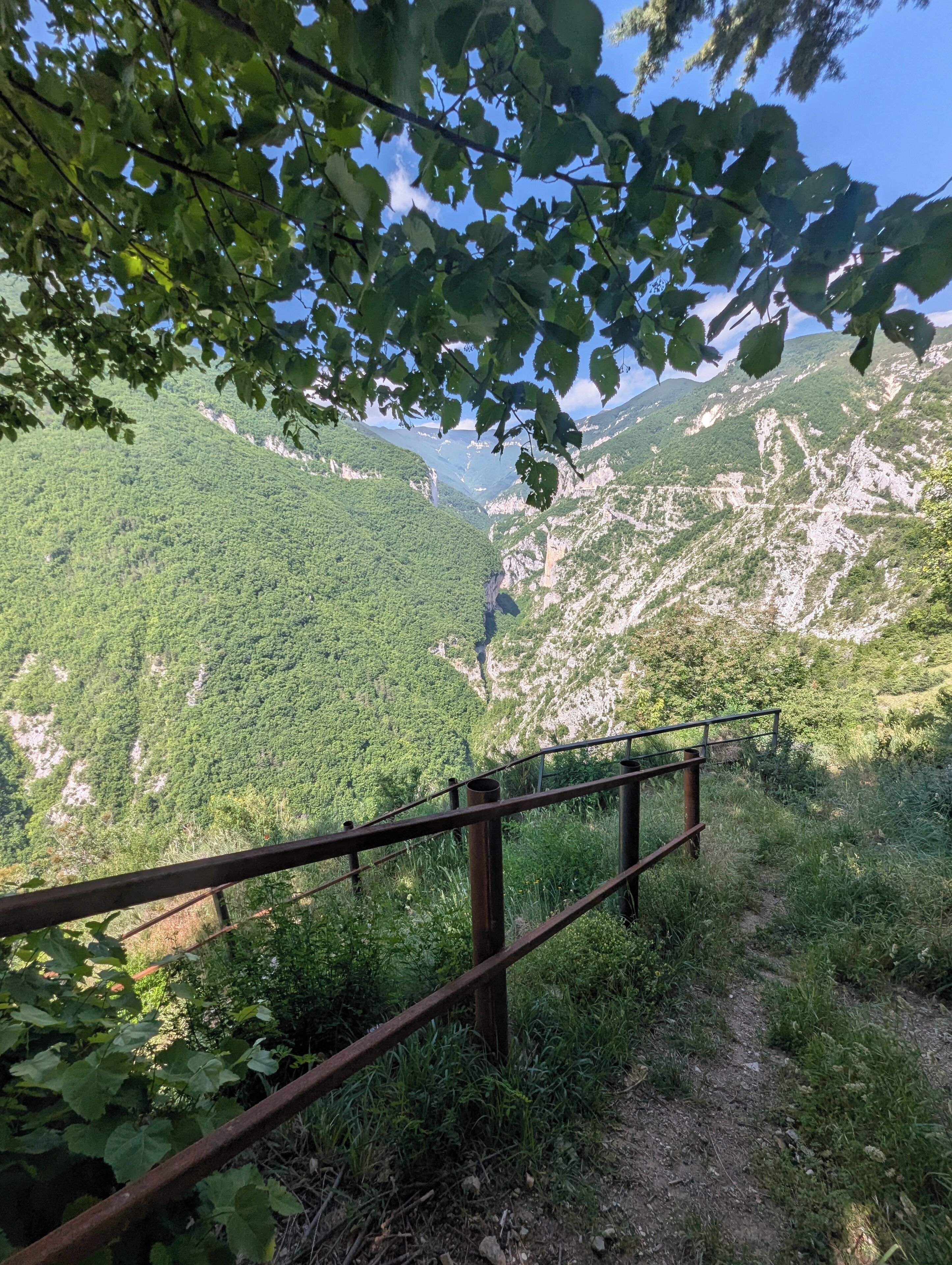 Paisaje montañoso con barandilla de metal, vegetación densa y cielo despejado.