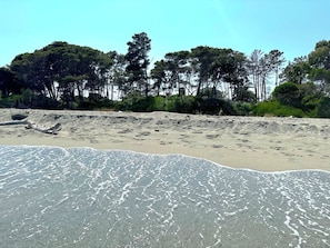 A sandy beach with gentle waves and a forest in the background.