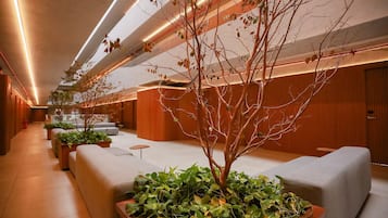 Apartamento básico | Parte interna