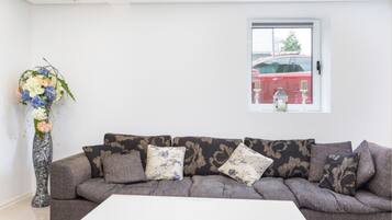 Apartment, 2 Bedrooms, Smoking, City View | Living room
