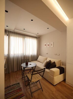 Estudio estándar | Zona de estar | Una televisión de pantalla plana