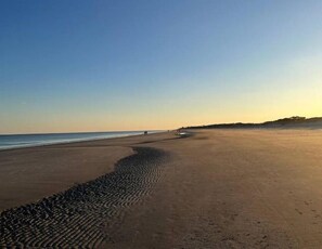 Serviettes de plage