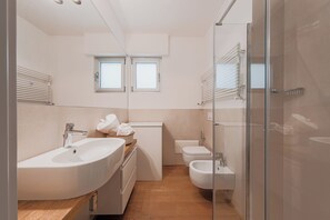 Shower, hair dryer, bidet, towels
