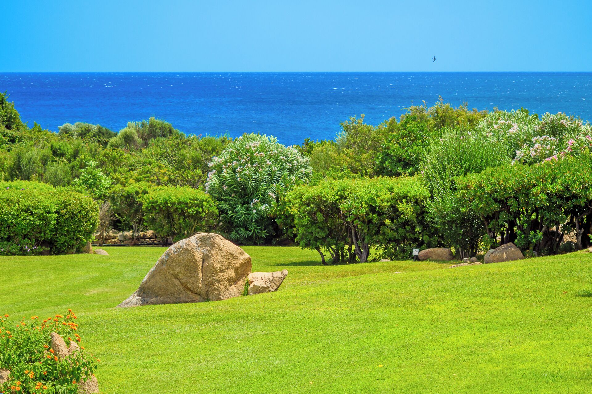 A lush green landscape with a large rock in the foreground, dense shrubbery, and a view of the ocean.