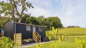 A compact, dark-colored cabin with a wooden staircase and a small outdoor seating area. - Defaid Cymreig (Oswestry)
