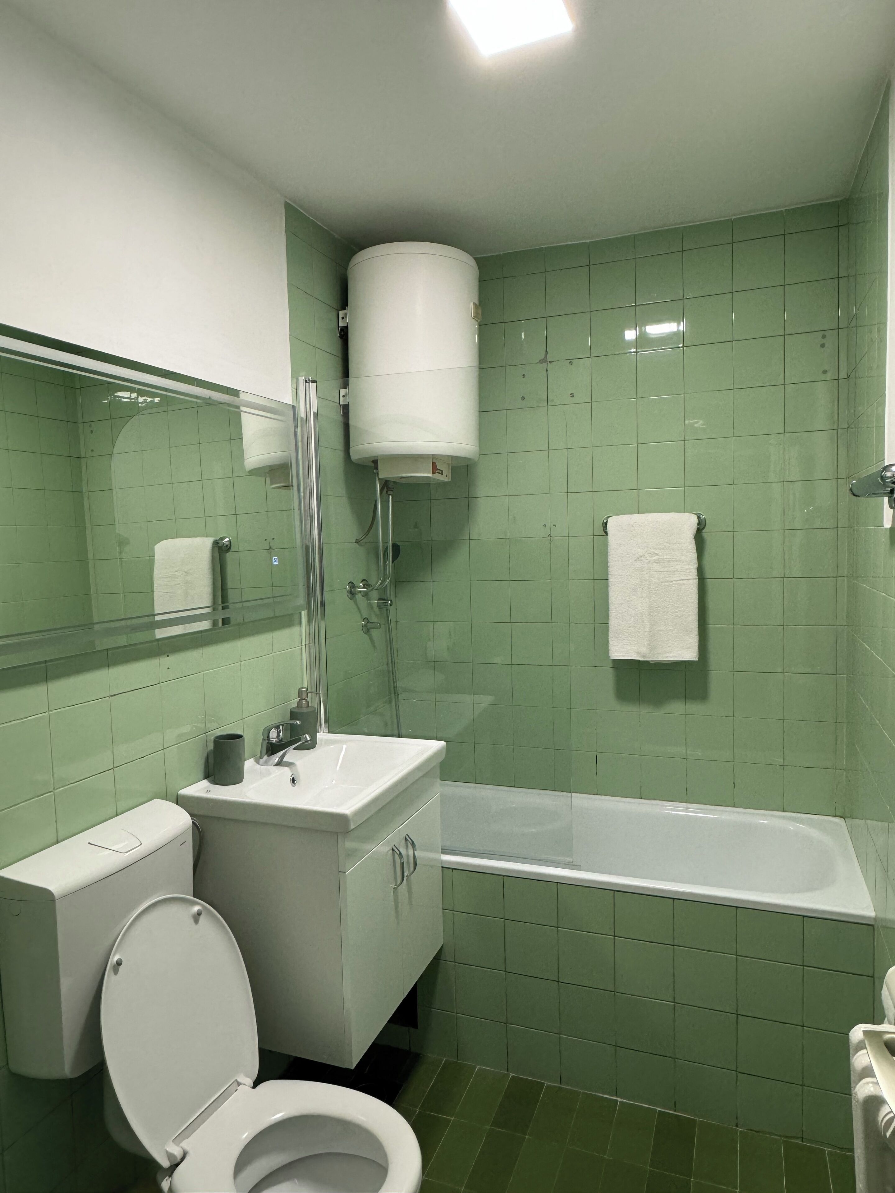 Hair dryer, towels, soap, toilet paper