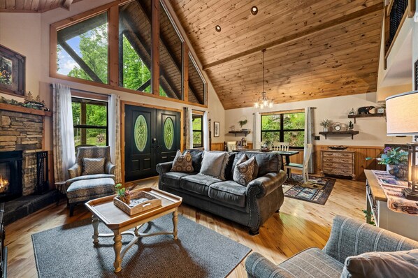 Smart TV, fireplace, books