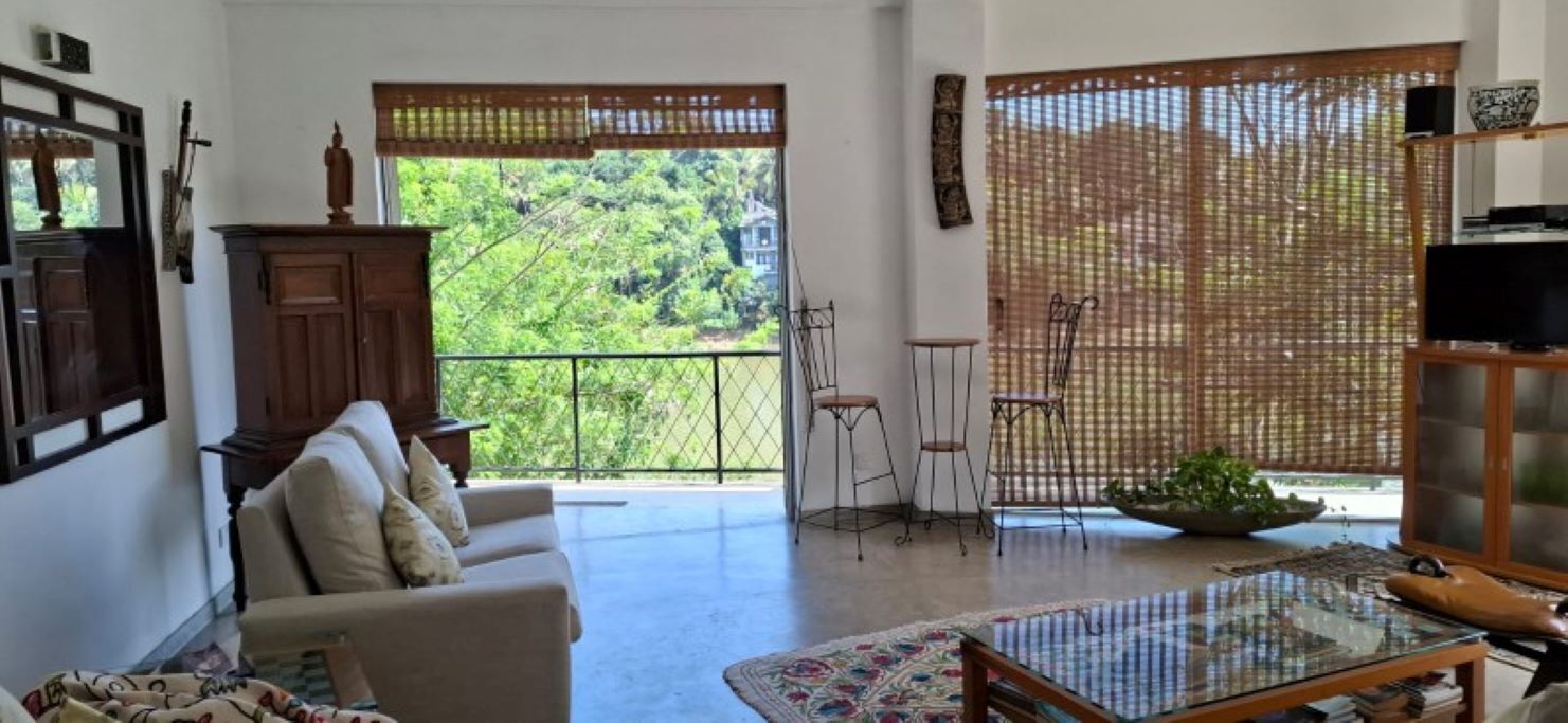 TV, books, music library, stereo