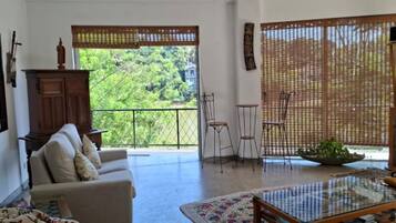 Televisión, libros, biblioteca musical y estéreo