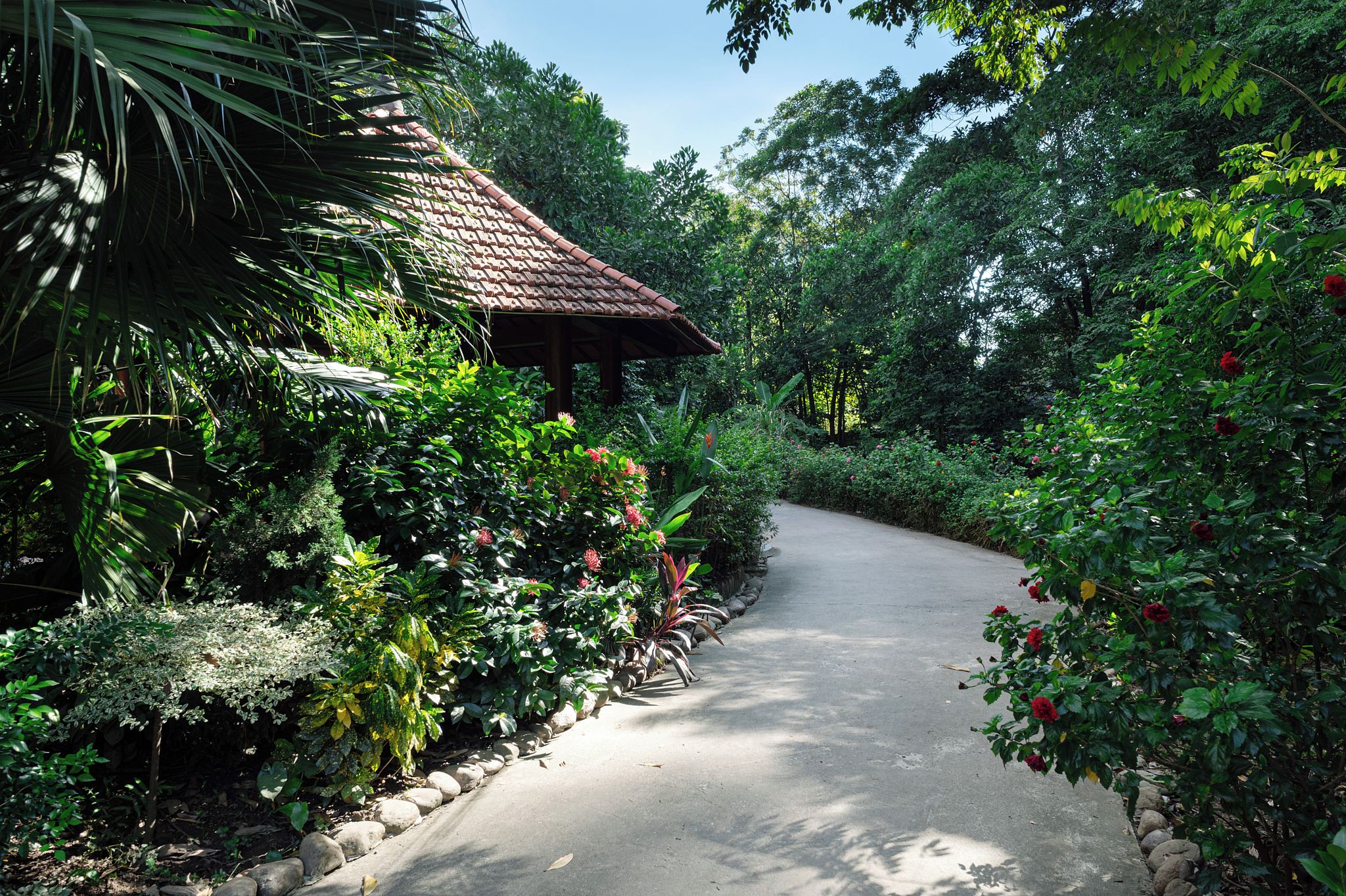 A pathway leading to a traditional structure surrounded by lush greenery and flowering plants.