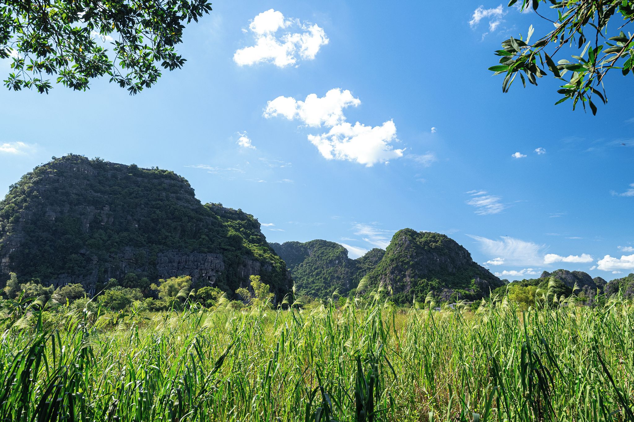 A natural landscape with a clear sky, lush green vegetation, and rocky hills.