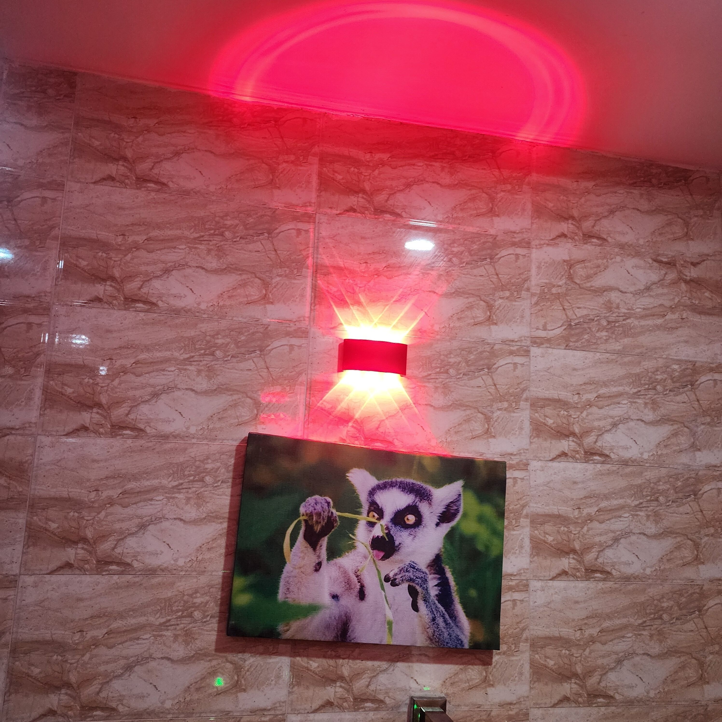 A wall with a painting of lemurs and a red light fixture.