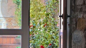 A view through a door with a garden, featuring a stone wall, a metal gate, and lush greenery. - Casa Camelie, with a spacious terrace (Trieste)