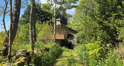Spacieuse maison en pierre de taille nichĂ©e Ă la lisiĂšre de la forĂȘt!