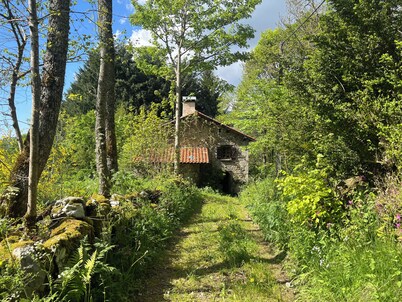 Spacieuse maison en pierre de taille nichée à la lisière de la forêt!