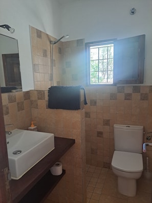 Hair dryer, towels, toilet paper