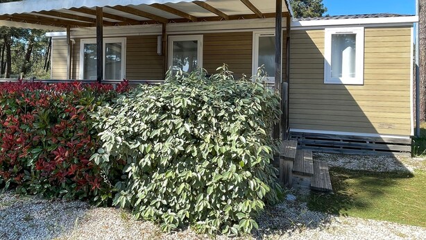 A mobile home with a covered porch, a small window, and a well-maintained garden with red and green foliage. - Mobile home P007 6 persons (Vendays-Montalivet)