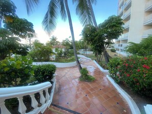 Property grounds - 
Beachfront Penthouse Best View Best location.  Walk to best beaches and dining. (Cupecoy)