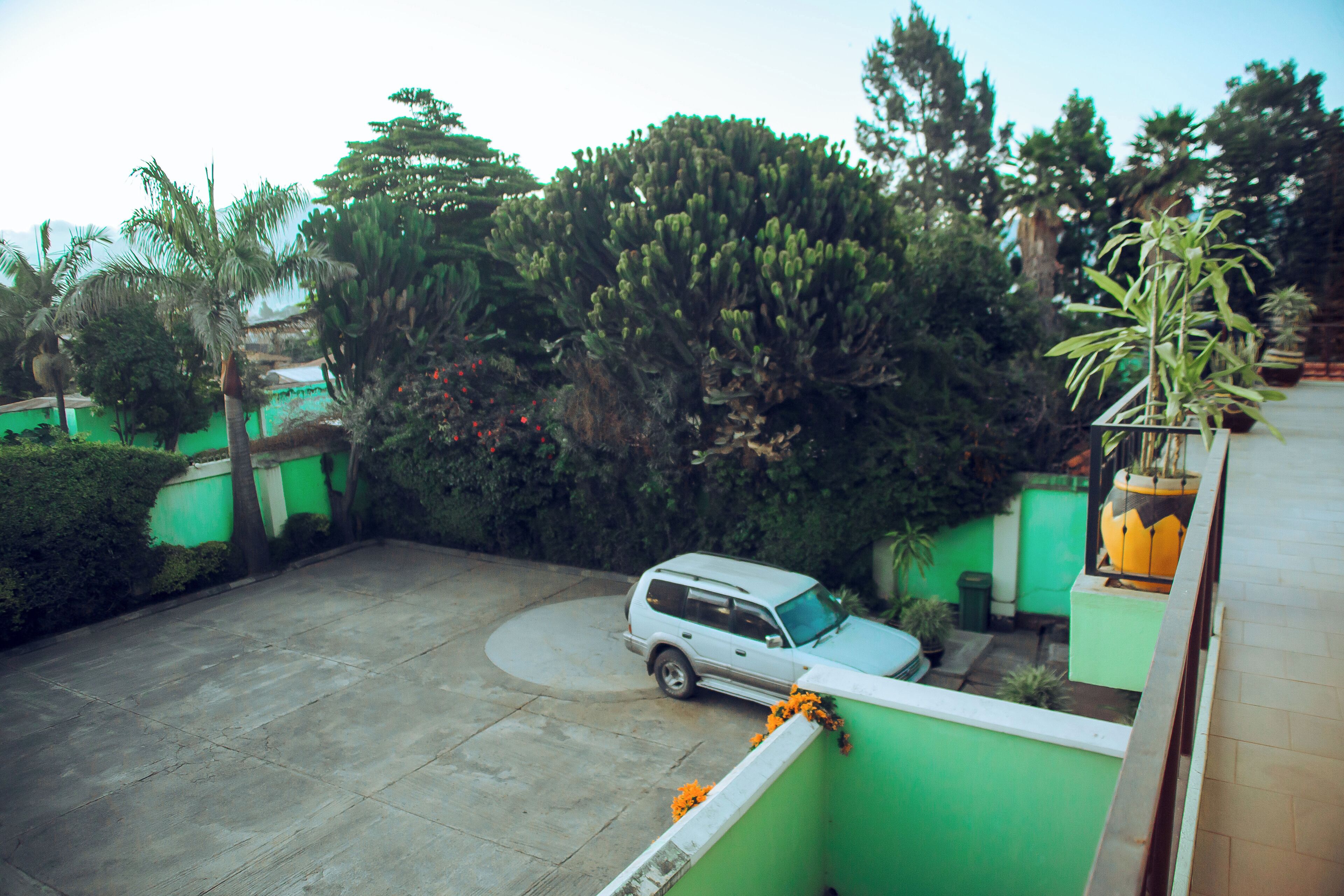 A parking area with a white SUV, surrounded by green walls and various plants.