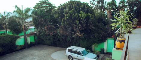 A parking area with a white SUV, surrounded by green walls and various plants.