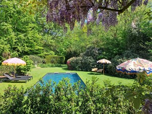 Een achtertuin met een zwembad, twee ligstoelen en twee parasols.