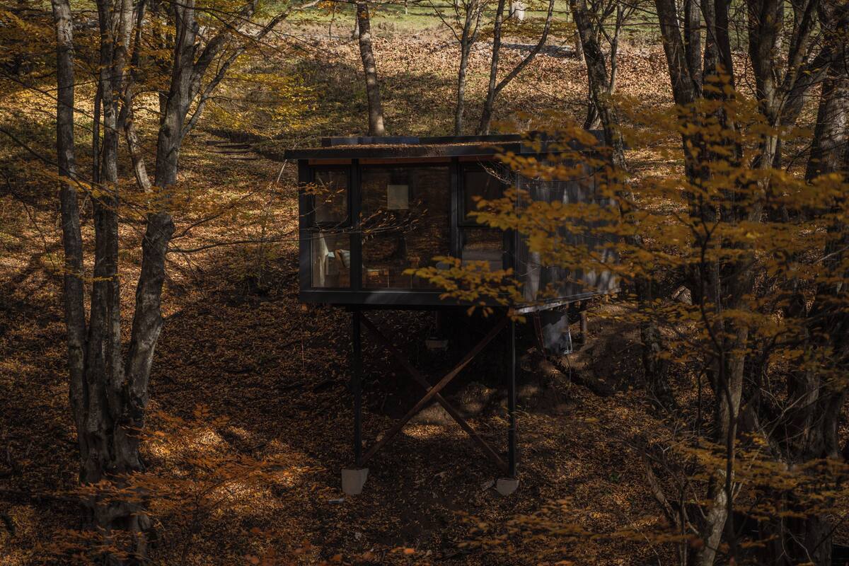 Una cabaña en un bosque con estructura de metal y paredes de vidrio, rodeada de árboles y hojas caídas.