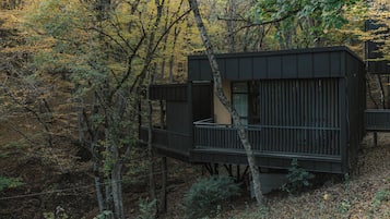 Suite Studio Supérieure | Vue sur les montagnes