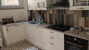 Oven, stovetop, dishwasher