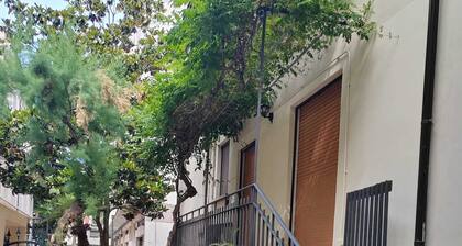 Carolina House