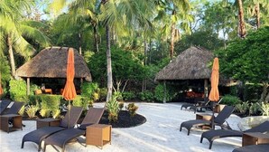 A resort with thatched-roof huts, lounge chairs, and orange umbrellas. - 3Bedroom 2.5 bath townhome in beautiful Naples Florida

: (Naples)