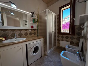 Shower, hair dryer, bidet, towels