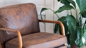 A brown leather chair with wooden armrests, a potted plant, and a white door with a keyhole. - La Campanula (La Spezia)