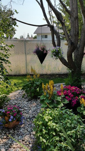 Property grounds - Quiet crescent, cozy suite, easy road/bus access, TV, cable, Internet (Edmonton)