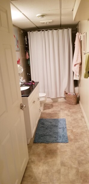 Hair dryer, towels, soap, shampoo - Quiet crescent, cozy suite, easy road/bus access, TV, cable, Internet (Edmonton)