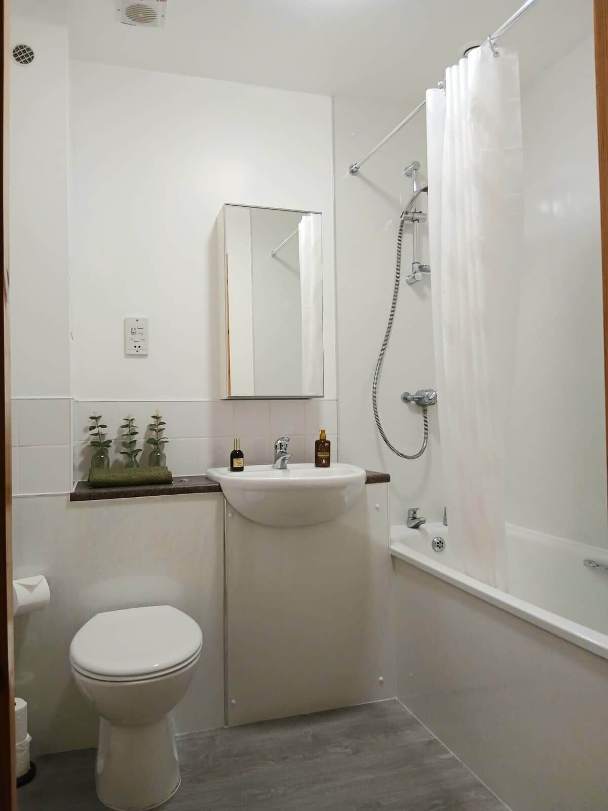 Shower, hair dryer, soap, toilet paper