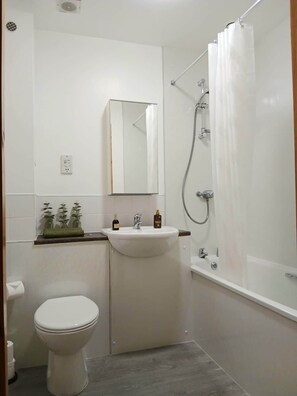 Shower, hair dryer, soap, toilet paper