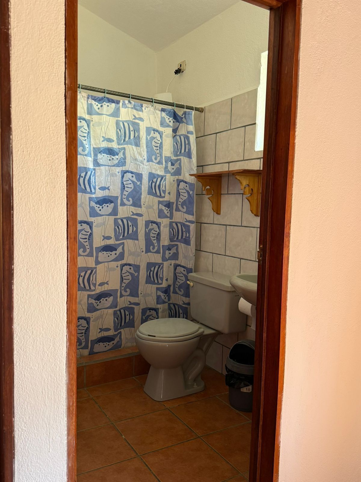Un baño pequeño con inodoro, lavamanos y cortina de ducha con estampado de caballito de mar.