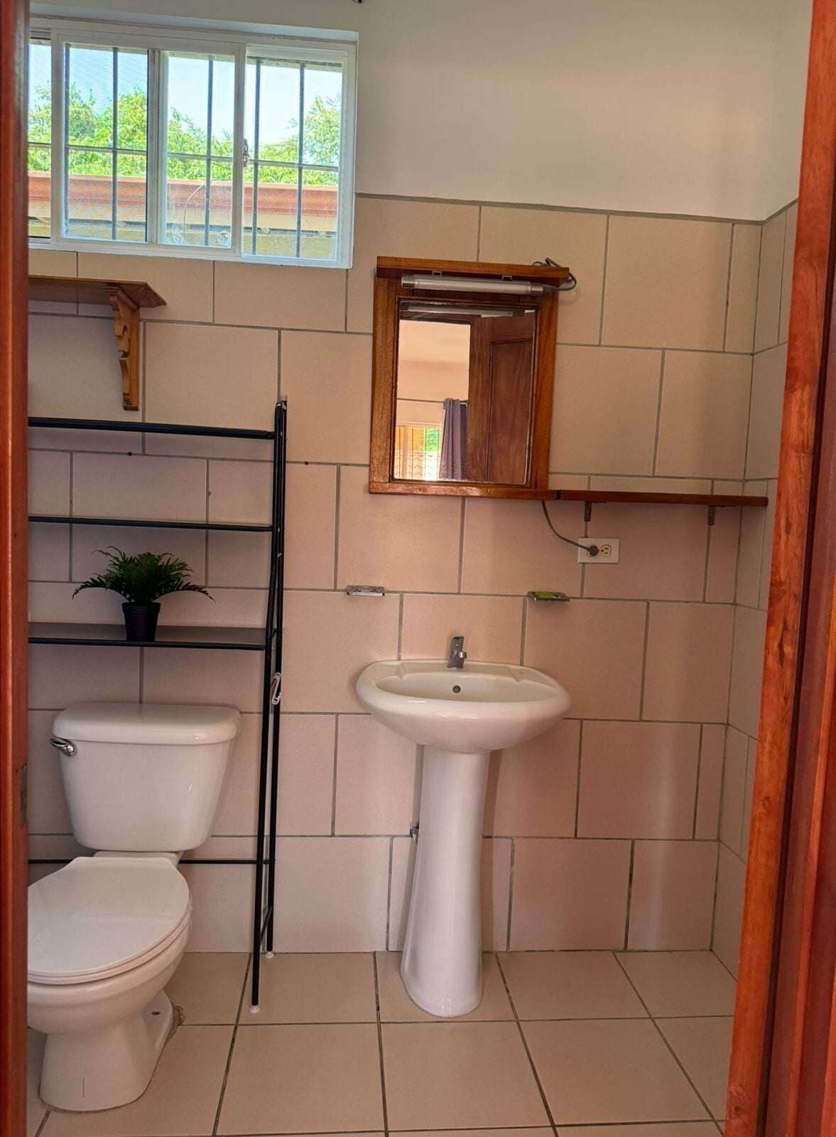 Un bagno piccolo con un water, un lavandino e uno specchio. C'è una finestra sopra il lavandino e uno scaffale con una pianta.