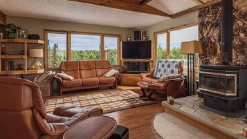 智能电视、壁炉