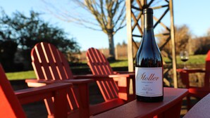 A bottle of Stoller Family Estate 2017 Reserve Pinot Noir on a red table outdoors. - Historic Vineyard Escape, with patio and vintage charm-Pet friendly! (Dayton)