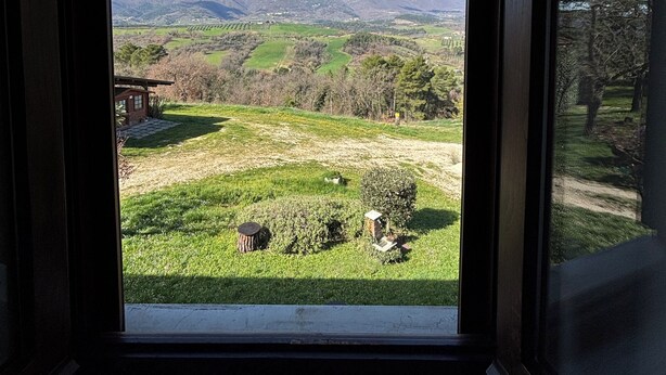 Une pièce dotée d’une grande fenêtre donnant sur un paysage verdoyant, avec des collines et des arbres.
