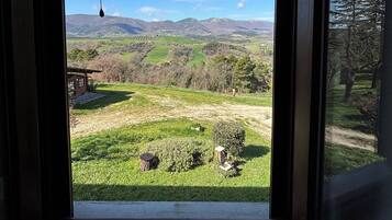 Desk, laptop workspace, free WiFi